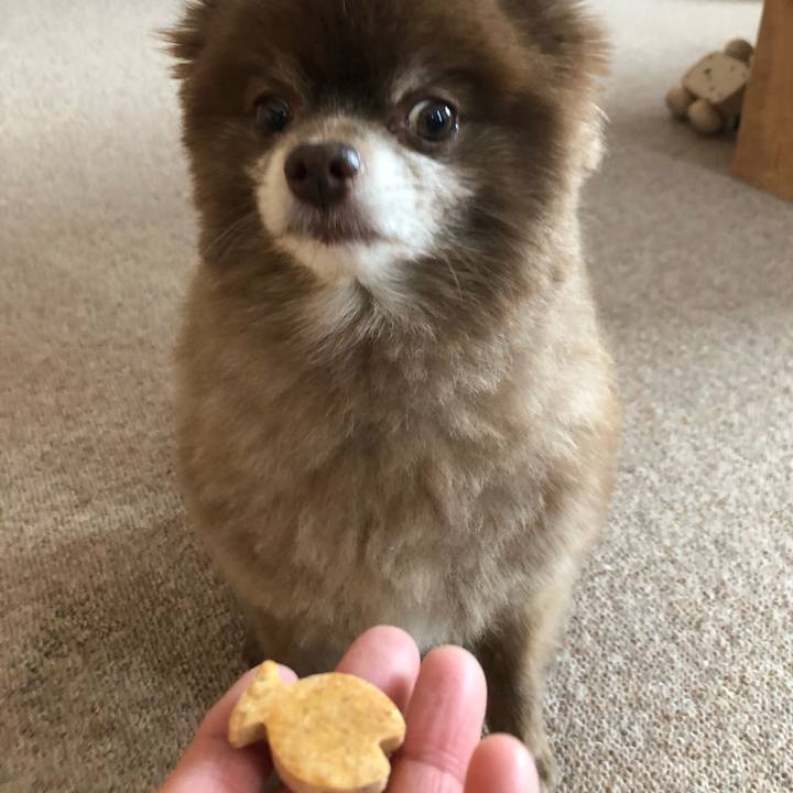 39653dd1 212e 46dd 83cf ba48688669d9 1575870612774