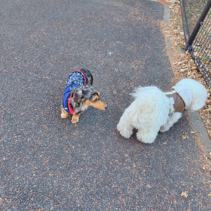 39658a74 a725 4ea3 8e46 c86b9c8ba3ab 1737630183626