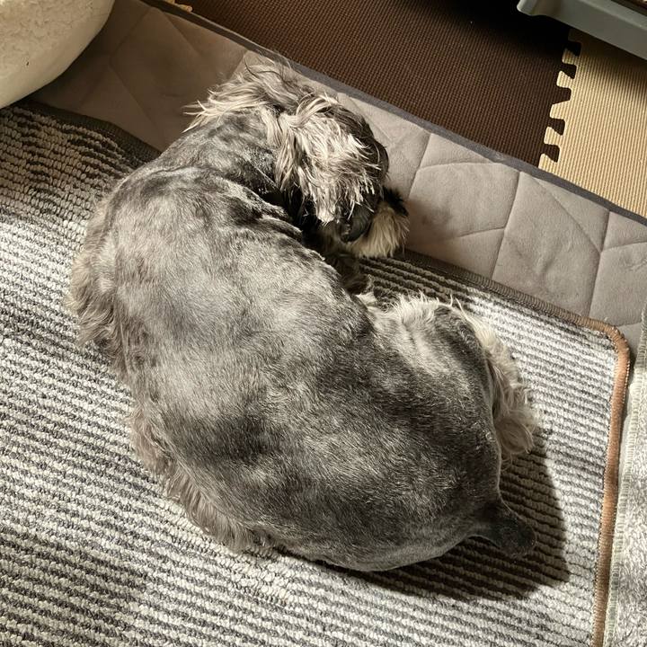 39659fa0 35f1 43c2 a40b f0e3033e85bf 1772340990342