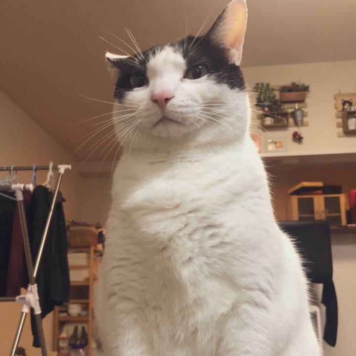 3965a2e3 fcf4 4e7b 96fb 392249bfa409 1546360437592