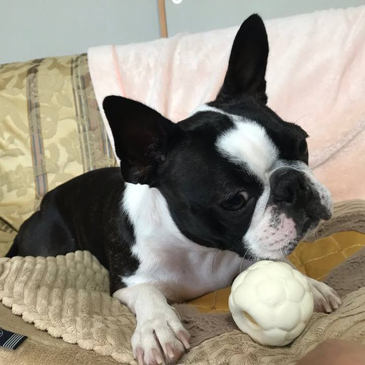 3965bb41 16f0 4300 8ecd de79147a072b 1540908047531