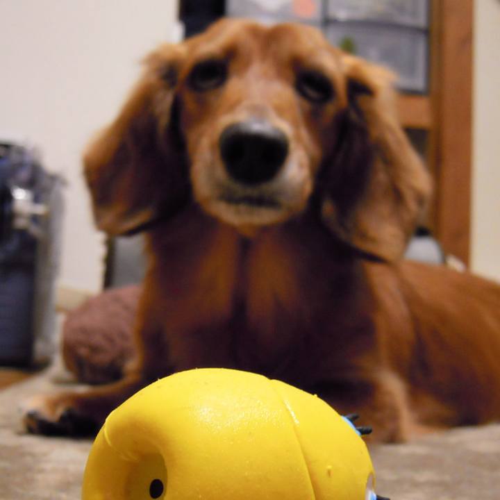 3965d2b8 d240 4011 8f71 6340159d9294 1549992385579