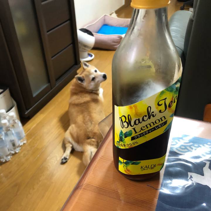 3965ec7f 8a9e 4ae4 9945 a8196892ae46 1597325732701