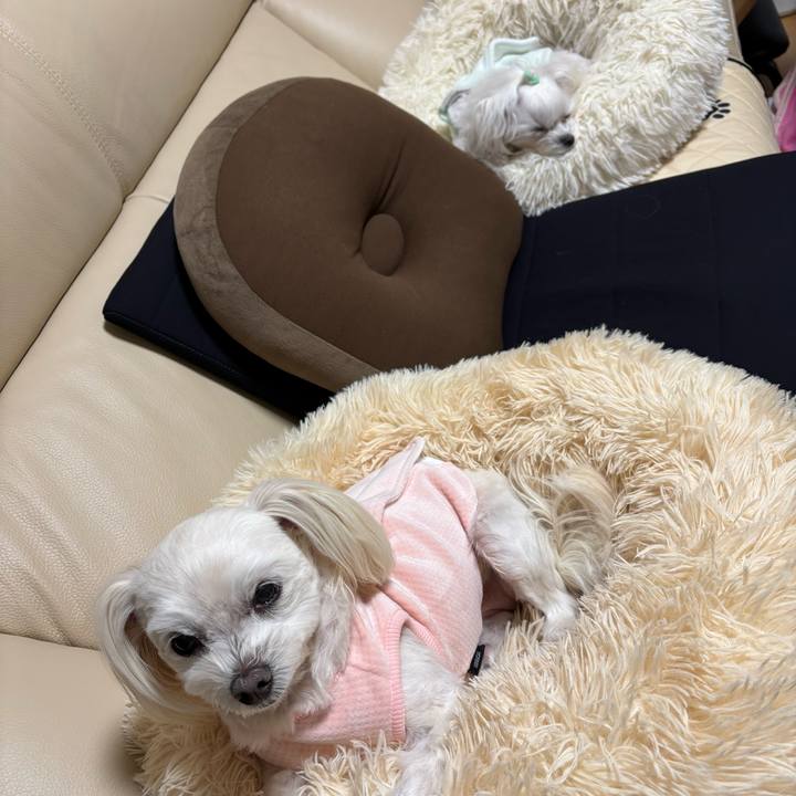 3965fb87 d13c 4c0a bb86 50c139e4babd 1767691916410