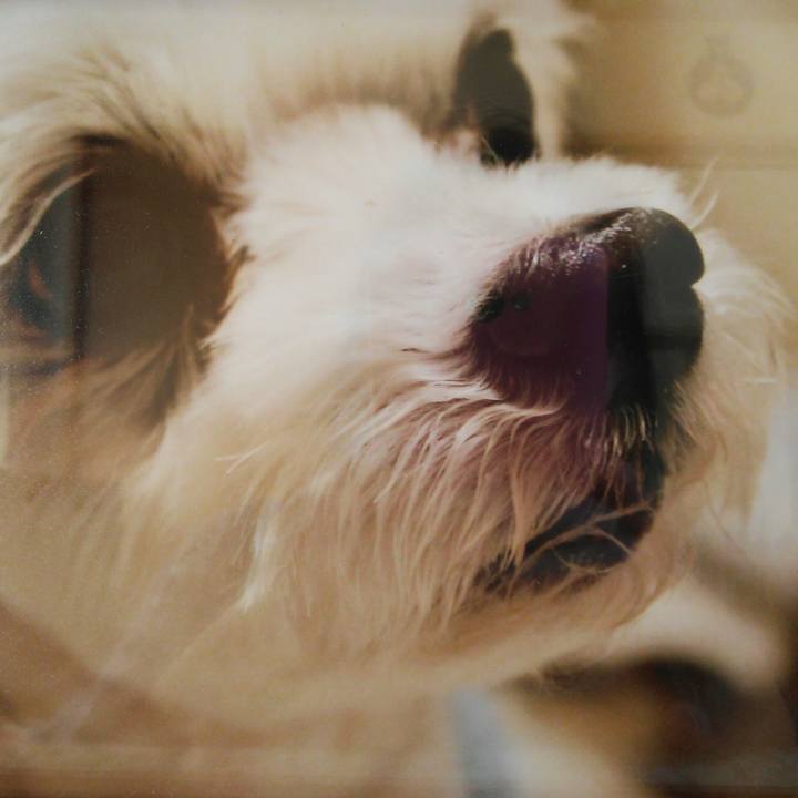 39660c33 1788 4cf8 8aad 7b294865a8ae 1521767836118