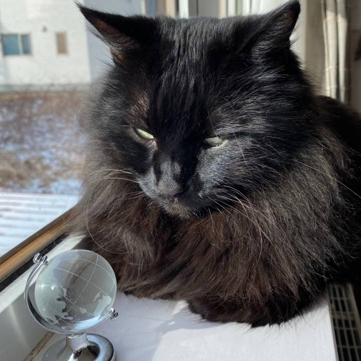 39664123 2fe0 4807 bc51 d699cab24330 1578831326620