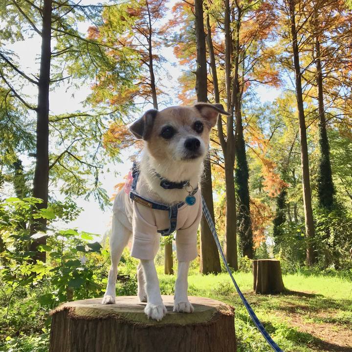 3966517e c102 4fff 85bc 3455dc9d79ff 1636862403006