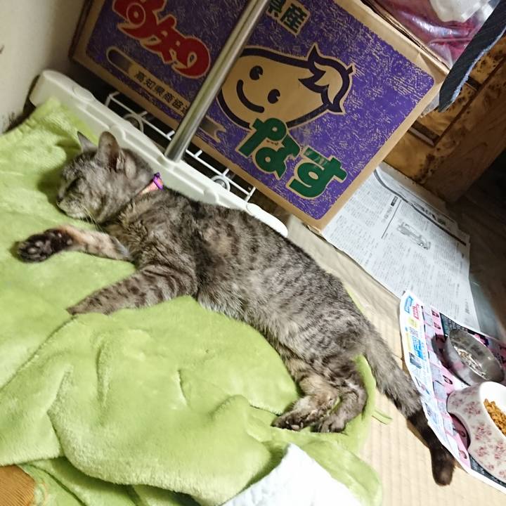 396659b6 f771 48c9 a279 114cf34ac1c5 1597061440230