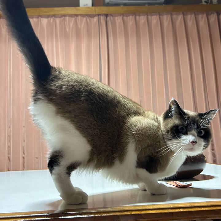 3966904b 7a45 46a3 9660 60125d43c7d2 1764633751011