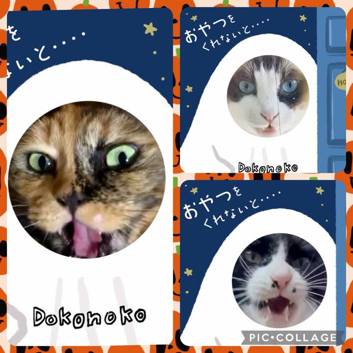 3966947c 7609 4a55 b2f2 971bd80d117e 1729048799091