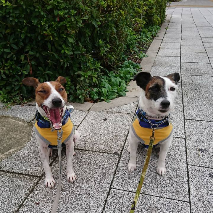 3966a139 8788 49fe 8c7b b8e1f4c03ed8 1571091606410