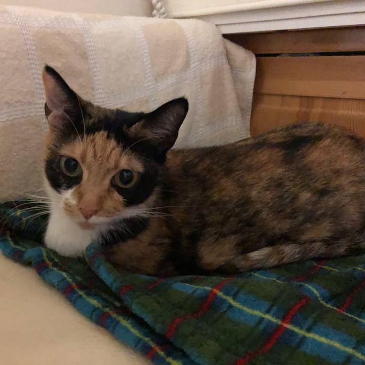 3966ab1a 287b 46cb a5f3 f218a9f26dfb 1562071987137