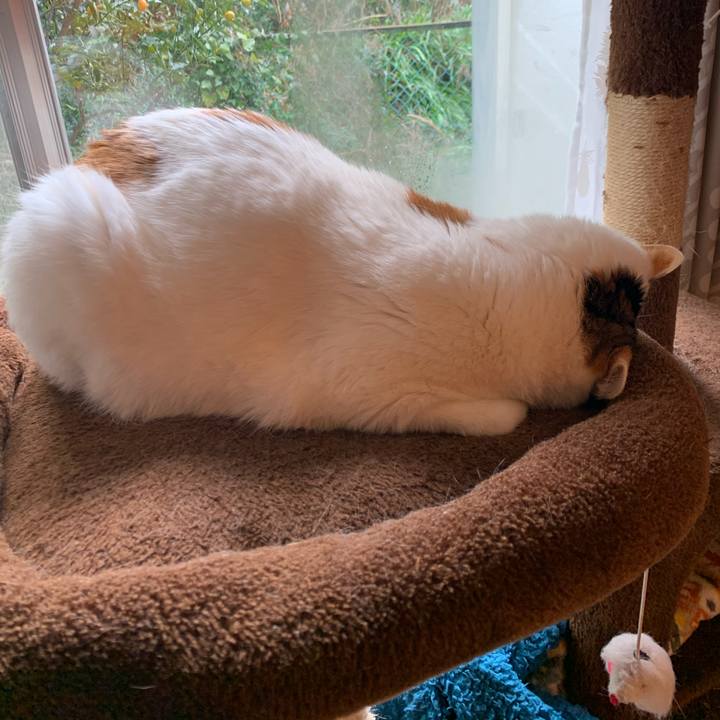 3966d10c 78f7 42b8 8575 e0d6274de63a 1674713084951