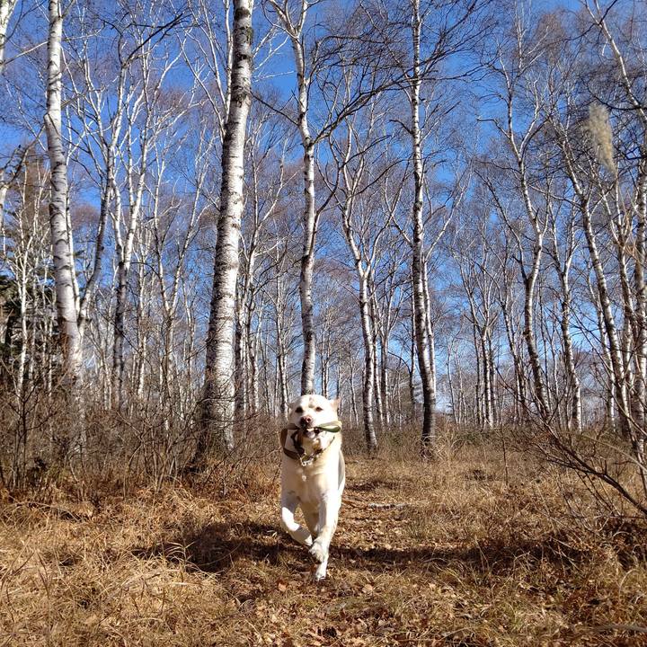 3966ddfd f190 47fb 9f3a 7fa6911ccc89 1699511914232