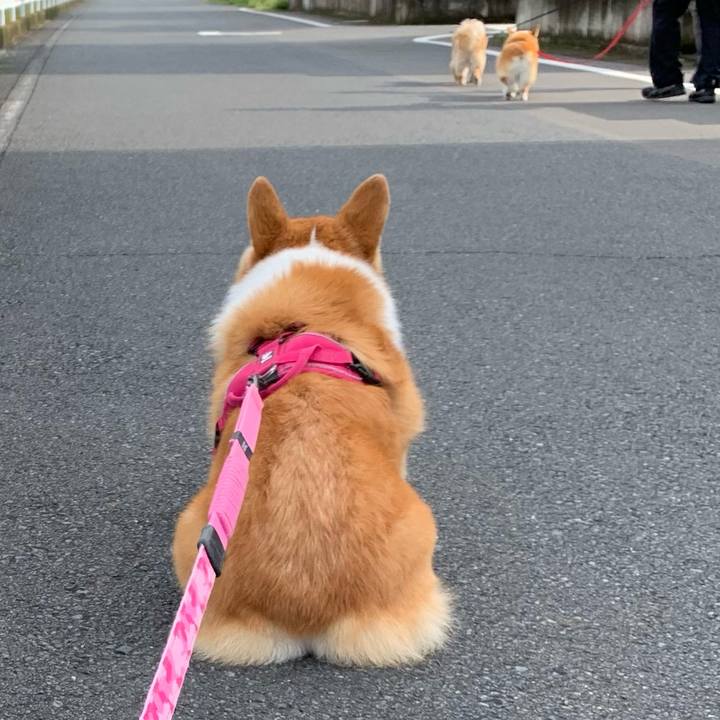 39670876 dc77 4a3a a602 82f0a159e5da 1627601385262