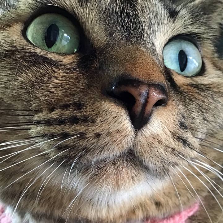 39671e47 d8ad 4699 8588 5216472bab8a 1743065515590