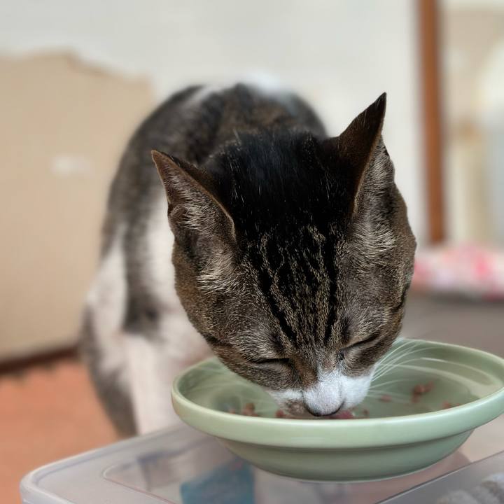 39672c15 c1fd 4eb2 9f30 73ac60c1c6af 1672792563385