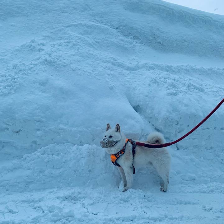 39673a83 9327 483f 92d2 fc417b4ebf94 1676586600564