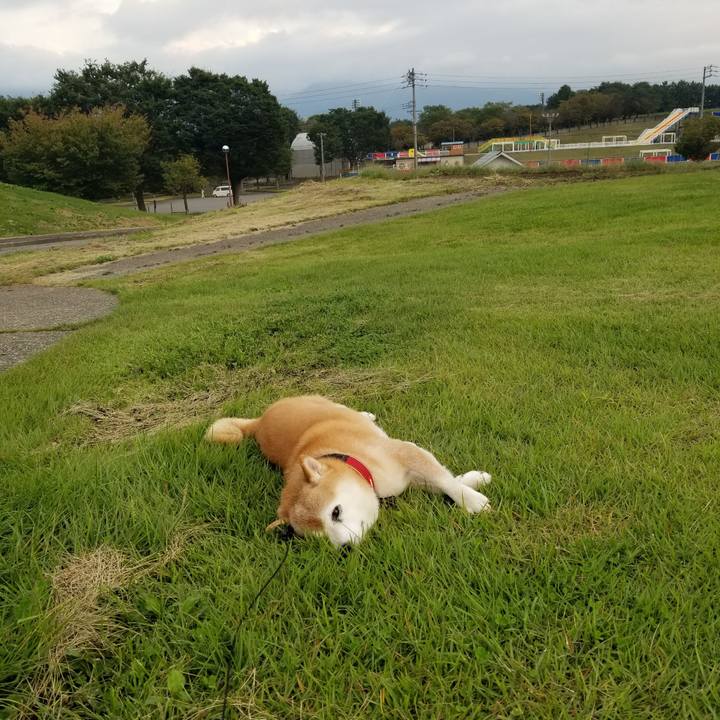 39673f03 1305 4b70 ab35 1b4bd789bb02 1727423951977