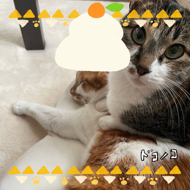 3967497b cca7 4e6d 8cd9 4e8426da2e85 1704165754256