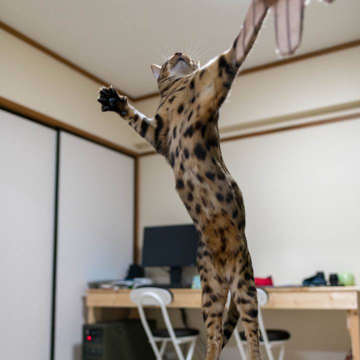 39675dc6 5d50 4094 9053 a6a1a28af955 1518101667036