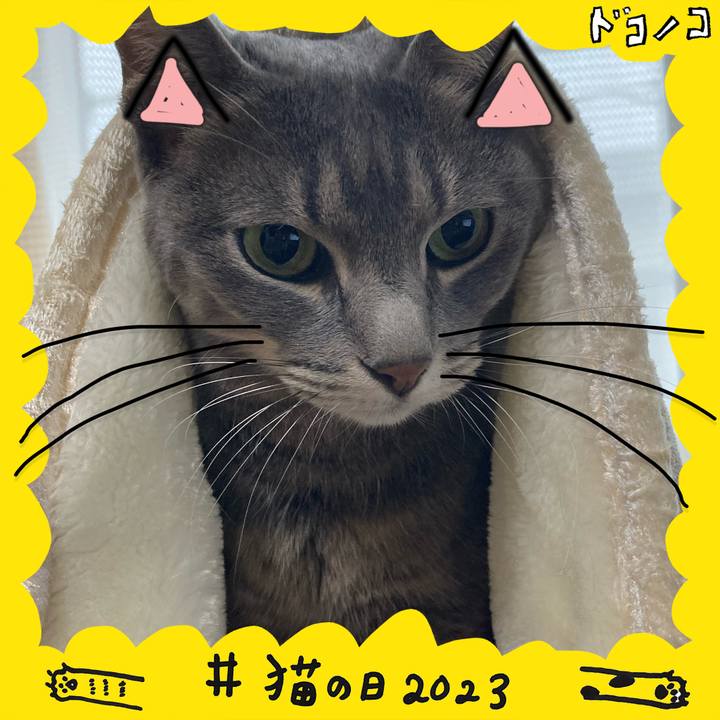 39678ec5 2e8f 4cd5 b05b 7720921a2333 1677073606185