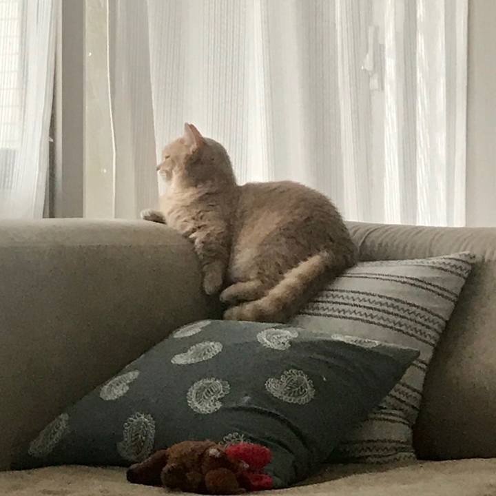 3967911f 9e25 4847 80d3 07829c5373eb 1562919844070