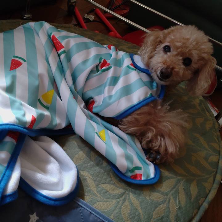 3967cd23 14ae 4918 b032 98229a7add95 1627798134701