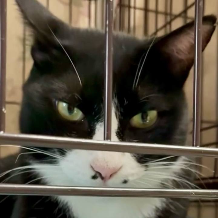 396829d0 2536 4051 afed 0691f3dfa051 1753965717742