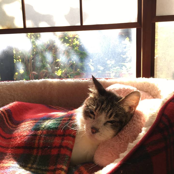 39682c70 e0b1 4115 afbe 05a01ac82934 1510357142732