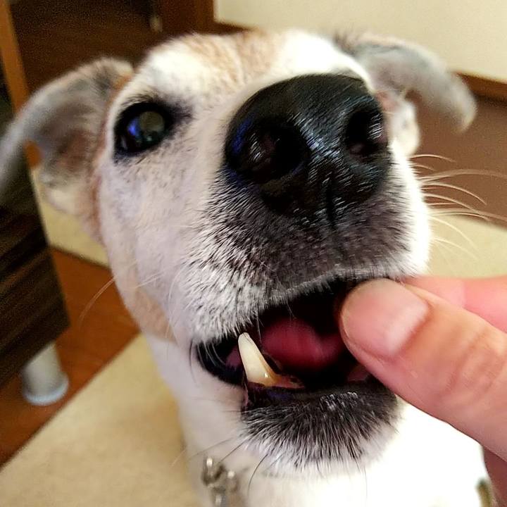 39685625 e232 461a a2db 250a38c0fe2d 1595119967424