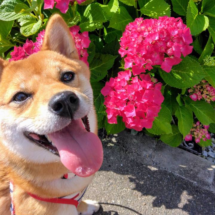 39689ae0 0256 476f 9171 fb73e24c8286 1765197115507