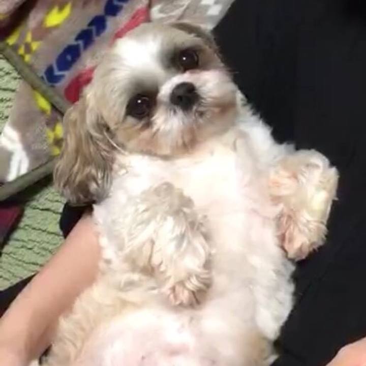 39689ee6 2669 4ca2 9611 8c76853d1f6b 1531103685117