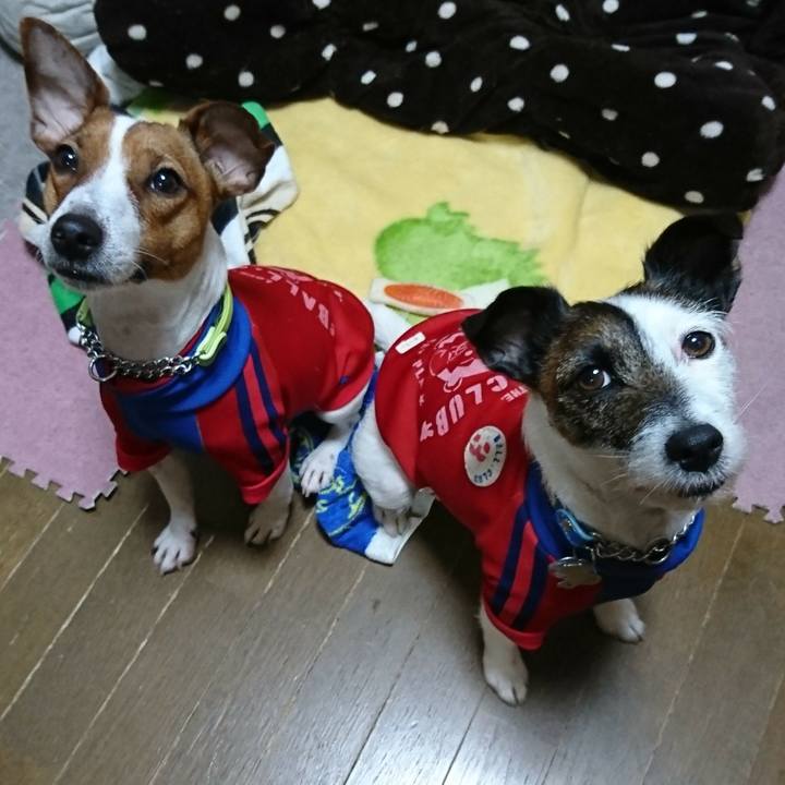 3968b5a6 2b91 4871 a324 5b111da42940 1551651370334