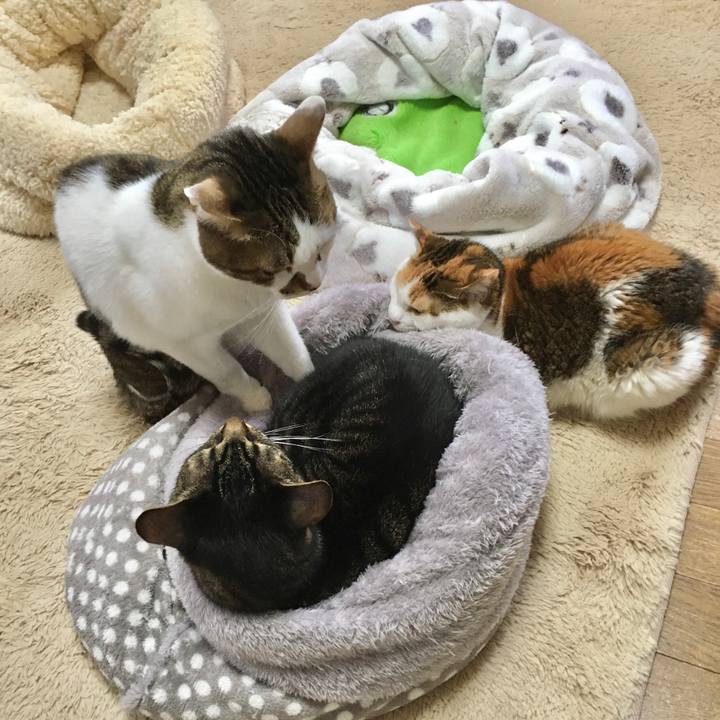 3968b75d 9ed9 4d61 af6c 6784deda940e 1581665768663