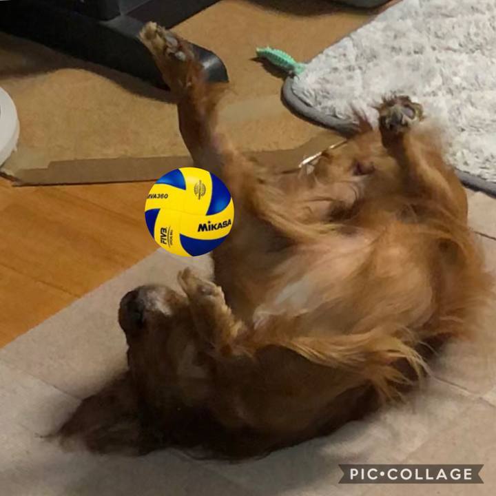 3968ccf6 c65f 4073 a198 1b486553333b 1584015867128