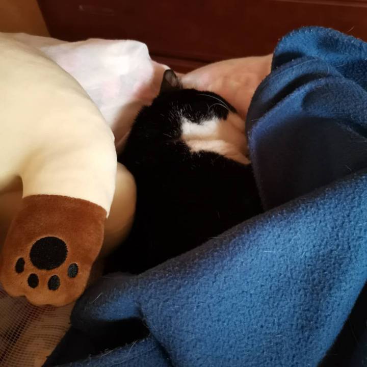 3968db27 13c6 42a7 b90b aec395794cb6 1686038262976