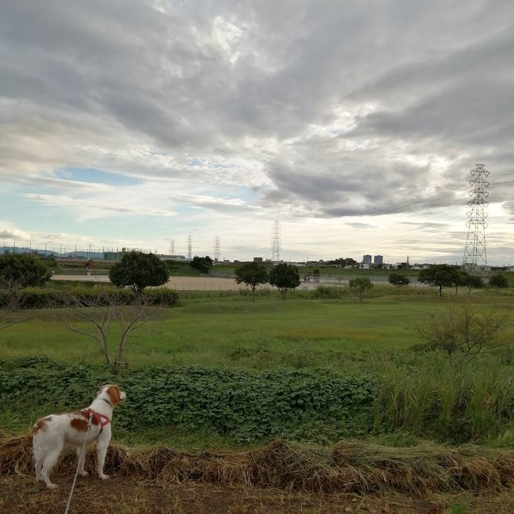 3968e910 f8a6 419b b7f6 9726175b39c0 1569160115708