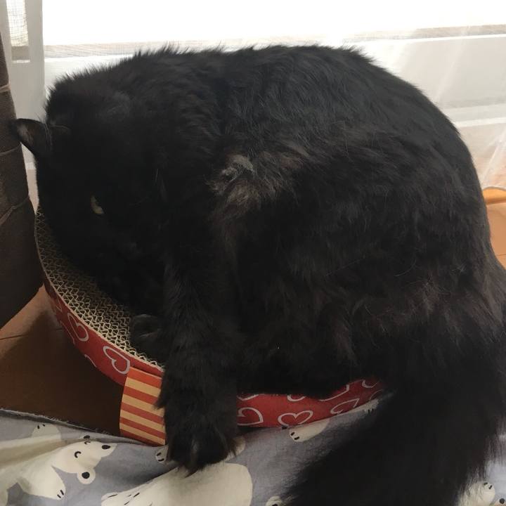 3968fb57 02ce 41c4 970e 464107216baf 1524535255470