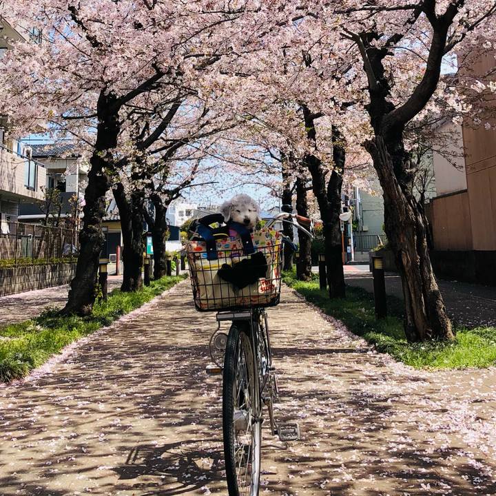 396928b2 2b07 4e11 9f30 b604363f76be 1648872651572