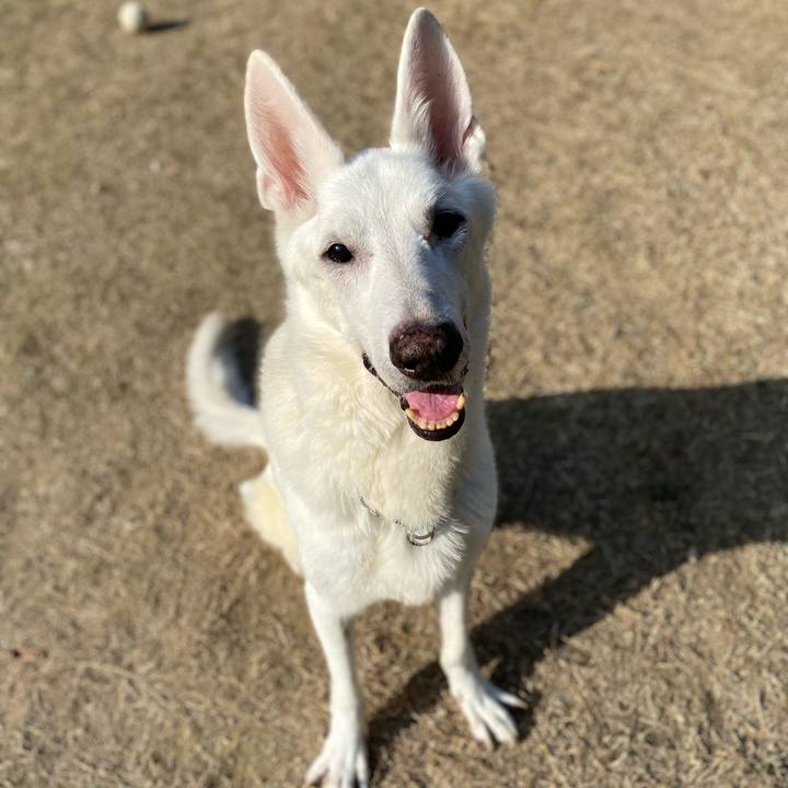 396940cf 99bc 4e7f a3b0 bc79c448cd5f 1609314689498