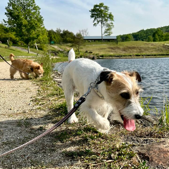 39696364 3e84 4afb 884d 2d2ab61c73dc 1717075698848