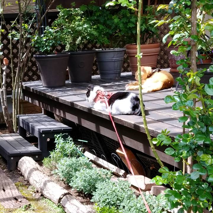 39696e29 e8ee 417a 8870 ce4048edae98 1587526667583