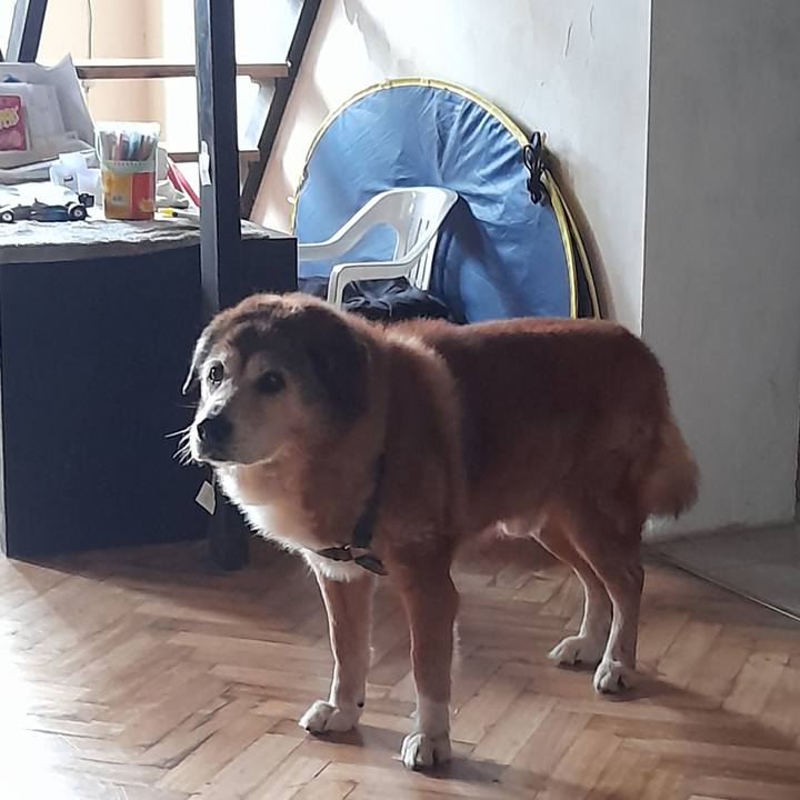 39697e06 0979 4acd 8f54 b3f9a15e0141 1756771730882