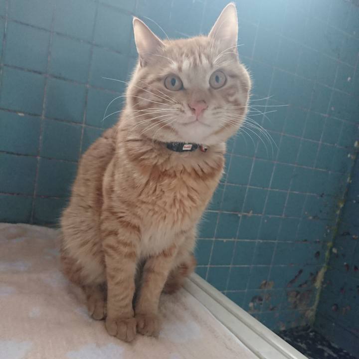 39698534 1ca7 478e bbb2 3ed3662825e9 1648973108089