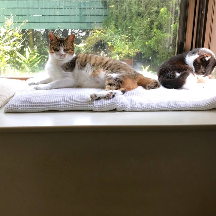 39699efb c9f2 4c13 b5af 0dc27bb20b5a 1529983609794