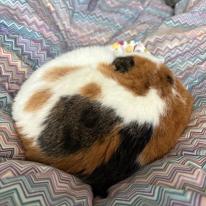 3969c26c e6d9 4ed3 a4b8 e2a80a7db16b 1769826575303