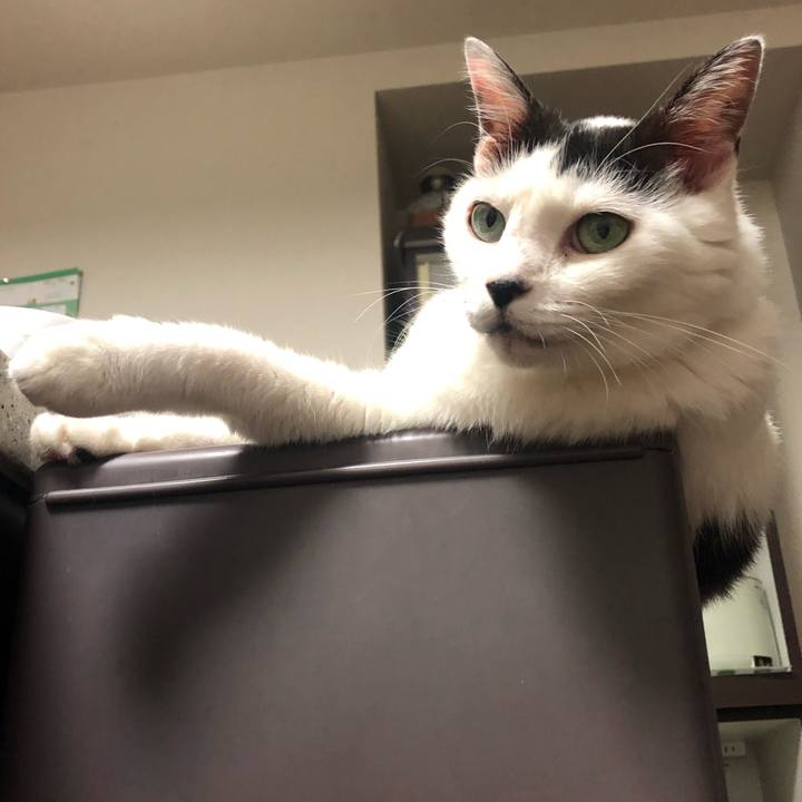 3969d4b4 5cc4 4b95 a568 b0a157f2c044 1596280110139