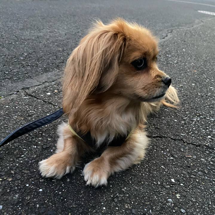 396a021e b1ed 4f5d b6a1 c6afb4bc1c68 1579904276303