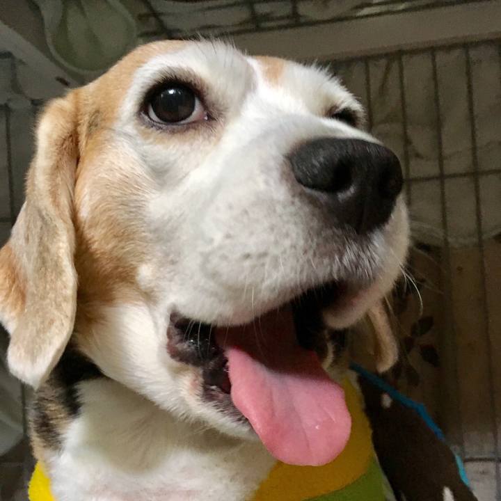 396a0d44 1635 40a2 8390 55f50b3acfca 1556529958836